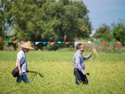 SS Rice News Convention 2025, Pattaya - Thailand